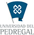 Universidad del Pedregal