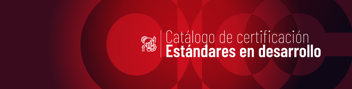 Estándares en Desarrollo