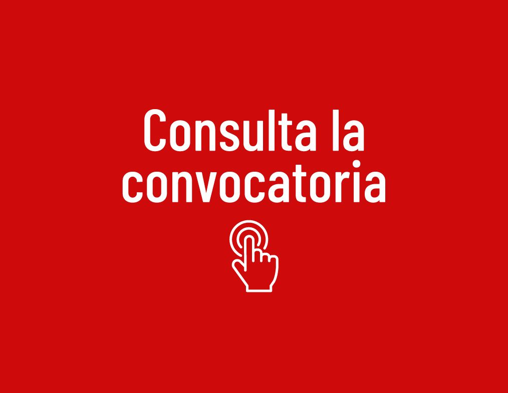 Consulta convocatoria
