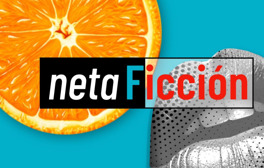 Netaficción