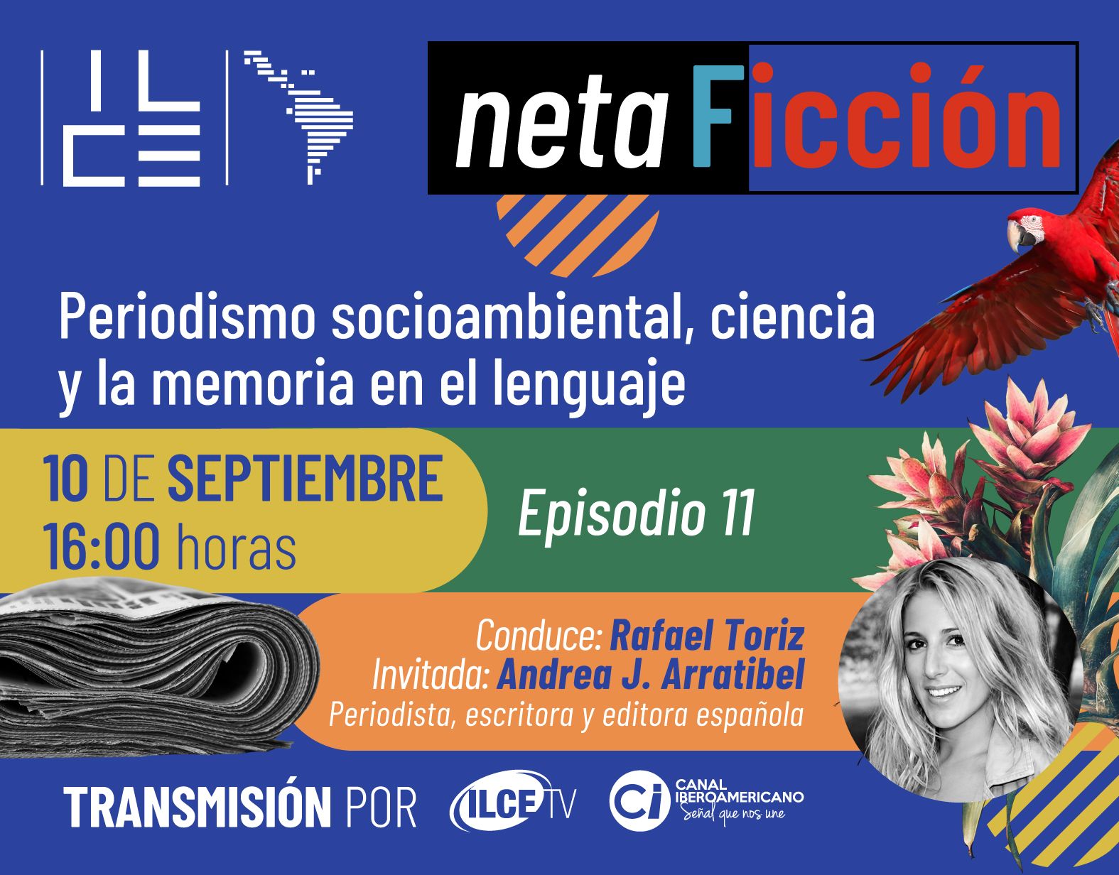 NETAFICCIÓN